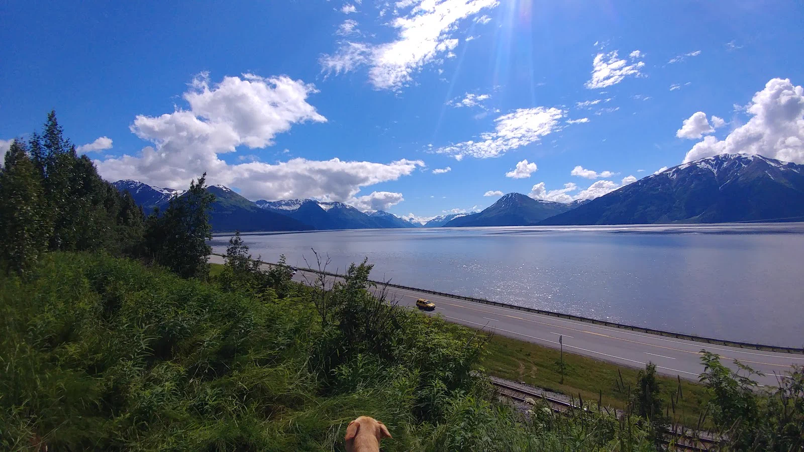 Registered Nurse - Cardiac Stepdown/PCU/Telemetry healthcare job in Anchorage, alaska