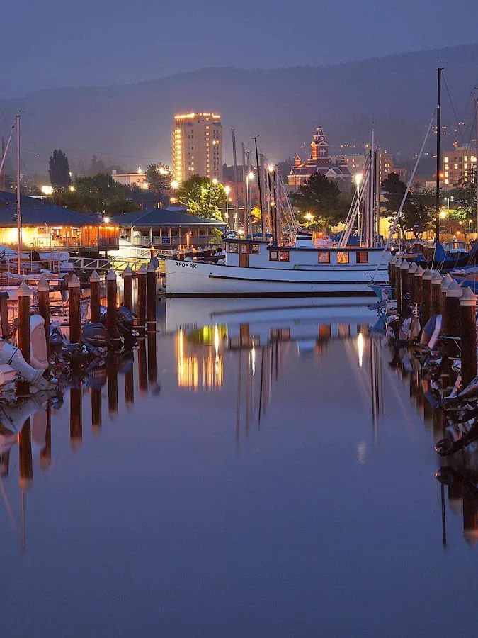 Occupational Therapy Assistant healthcare job in Bellingham, washington