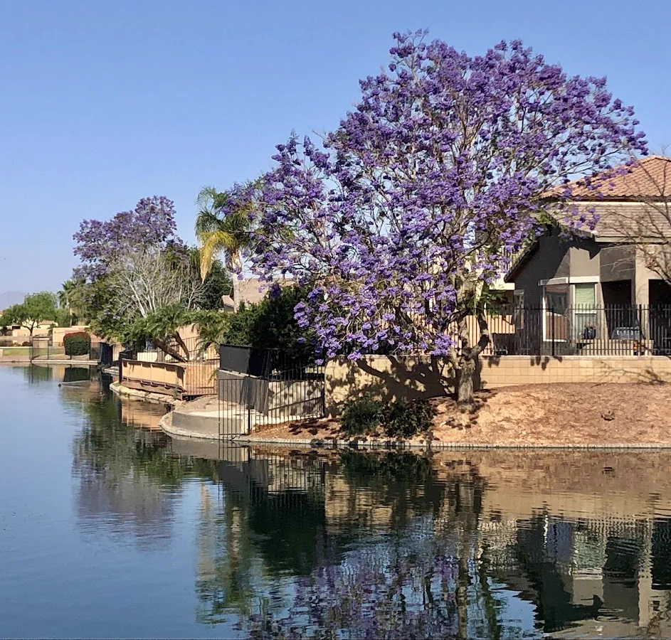 RN II - Tele Float Pool - MedSurg/CV/Neuro healthcare job in Chandler, arizona