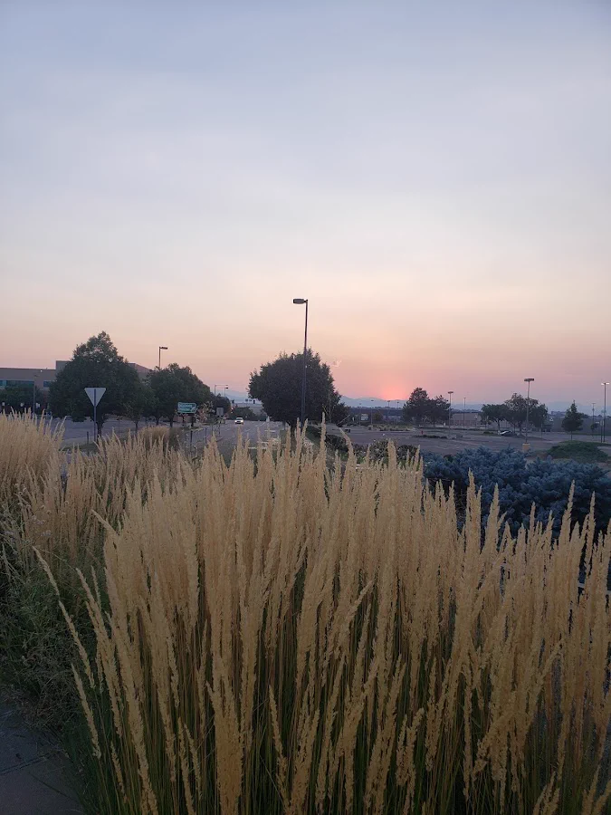 Registered Nurse - Emergency Department healthcare job in Englewood, colorado