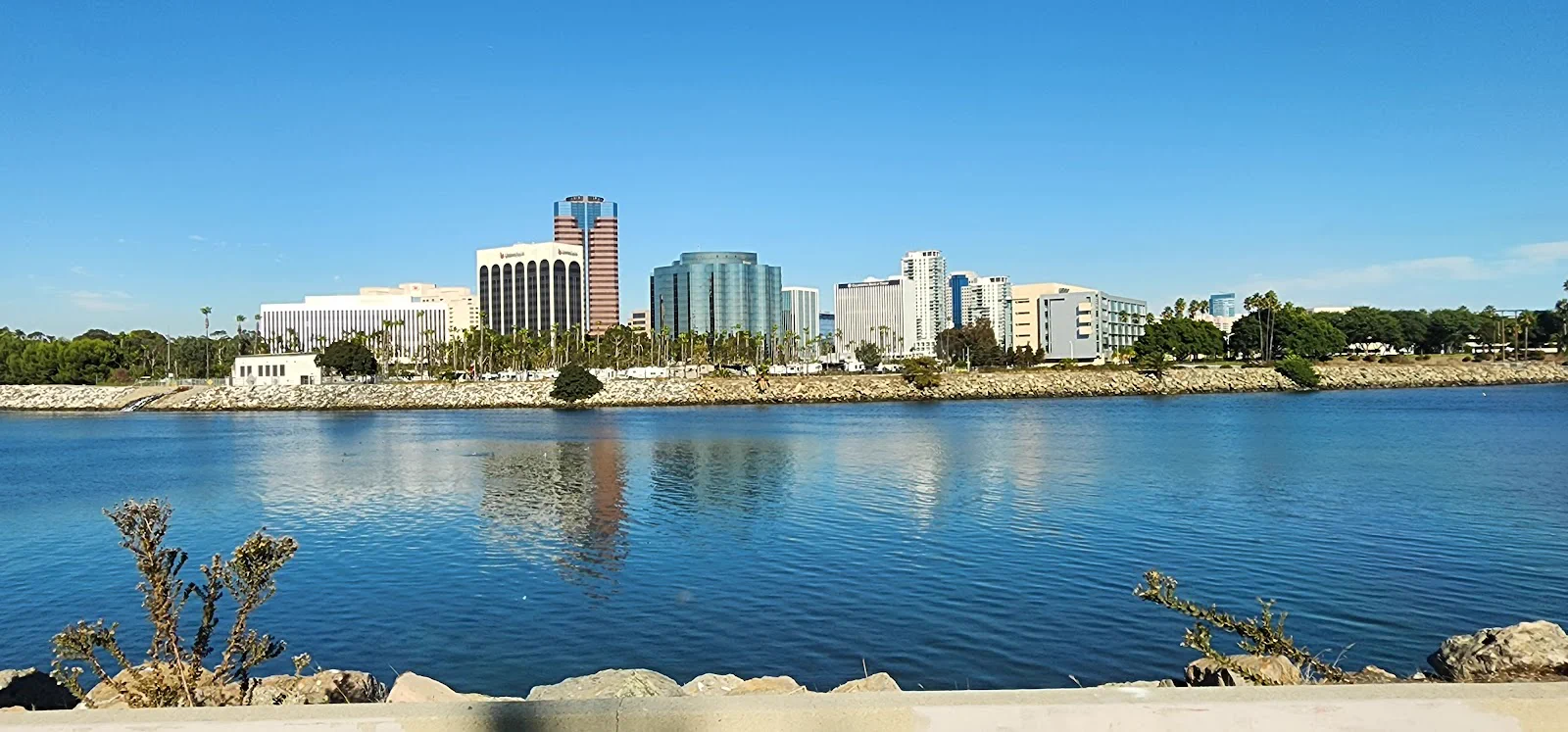 Registered Nurse - Emergency Room healthcare job in Long Beach, california