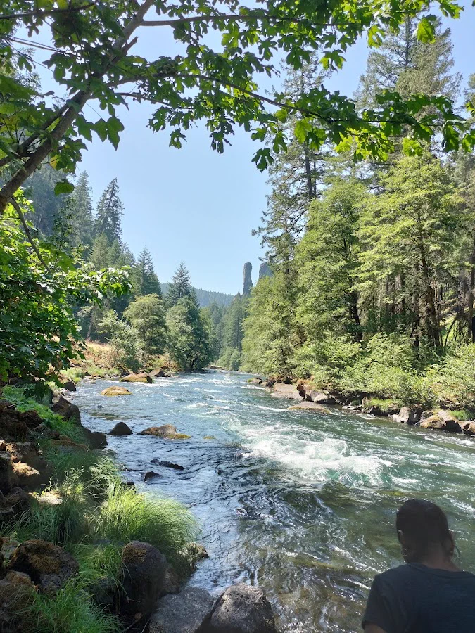 Medical Technologist - Generalist healthcare job in Roseburg, oregon